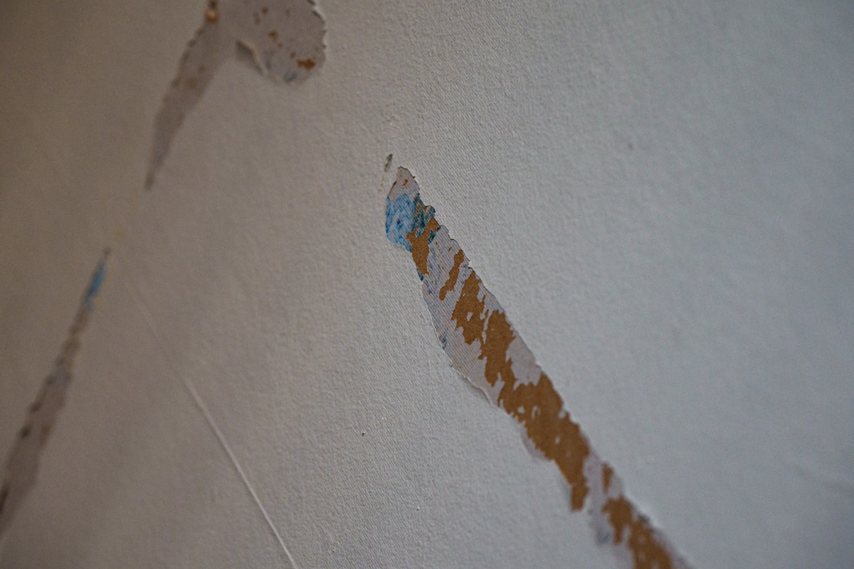 Mold Remediation service in Edmond, OK